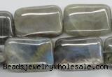 CLB124 15.5 inches 18*25mm rectangle labradorite gemstone beads wholesale