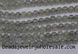 CLB18 15.5 inches 4mm round labradorite gemstone beads wholesale