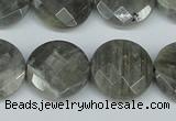 CLB193 15.5 inches 20mm faceted coin labradorite gemstone beads