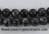 CLB353 15.5 inches 10mm round black labradorite beads wholesale