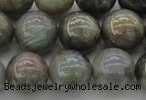 CLB605 15.5 inches 14mm round AB-color labradorite beads