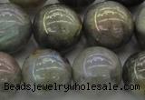 CLB608 15.5 inches 20mm round AB-color labradorite beads