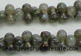 CLB630 15.5 inches 4*9mm bone AB-color labradorite beads