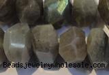 CLB701 15.5 inches 12*22mm - 14*24mm faceted nuggets labradorite beads