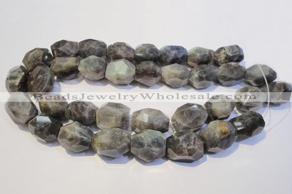 CLB704 15.5 inches 15*18mm - 20*25mm faceted nuggets labradorite beads