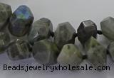 CLB765 15.5 inches 8*12mm - 12*16mm faceted nuggets labradorite beads