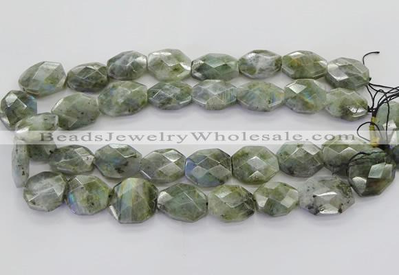 CLB767 15.5 inches 13*18mm - 18*25mm faceted freeform labradorite beads