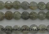 CLB87 15.5 inches 6mm faceted coin labradorite beads wholesale