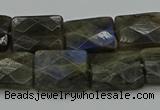 CLB962 15.5 inches 13*18mm faceted rectangle labradorite beads