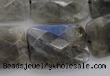 CLB97 15.5 inches 20*30mm faceted rectangle labradorite beads