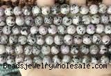 CLJ503 15.5 inches 4mm,6mm,8mm,10mm & 12mm round sesame jasper beads