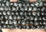 CLJ531 15.5 inches 4mm,6mm,8mm,10mm & 12mm round sesame jasper beads