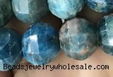 CME247 15.5 inches 10*11mm - 10*12mm pumpkin apatite beads