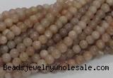 CMS01 15.5 inches 4mm round moonstone gemstone beads wholesale