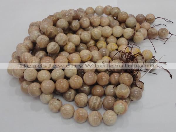 CMS04 15.5 inches 18mm round moonstone gemstone beads wholesale