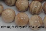 CMS05 15.5 inches 20mm round moonstone gemstone beads wholesale