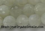 CMS1044 15.5 inches 12mm faceted round A grade white moonstone beads