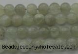 CMS1051 15.5 inches 6mm round grey moonstone beads wholesale