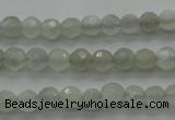 CMS1054 15.5 inches 4mm faceted round grey moonstone beads wholesale