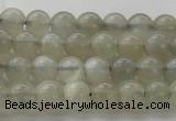 CMS1057 15.5 inches 6mm round grey moonstone beads wholesale