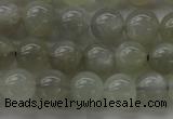 CMS1058 15.5 inches 8mm round grey moonstone beads wholesale