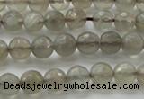 CMS1060 15.5 inches 6mm faceted round grey moonstone beads wholesale