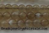 CMS1064 15.5 inches 6mm round grey moonstone beads wholesale