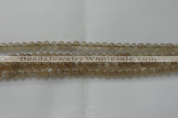 CMS1064 15.5 inches 6mm round grey moonstone beads wholesale