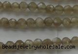 CMS1066 15.5 inches 4mm faceted round grey moonstone beads wholesale