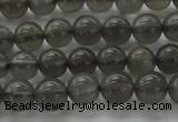 CMS1071 15.5 inches 6mm round grey moonstone beads wholesale