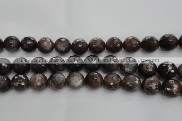 CMS1079 15.5 inches 14mm faceted round grey moonstone beads wholesale