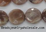 CMS113 15.5 inches 20mm faceted coin moonstone gemstone beads