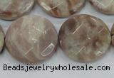 CMS114 15.5 inches 25mm faceted coin moonstone gemstone beads