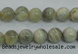 CMS121 15.5 inches 10mm round moonstone gemstone beads wholesale