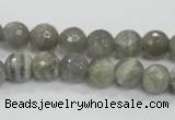 CMS124 15.5 inches 10mm faceted round moonstone gemstone beads