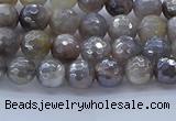 CMS1310 15.5 inches 4mm faceted round AB-color grey moonstone beads