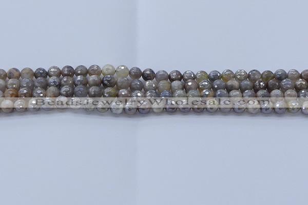 CMS1310 15.5 inches 4mm faceted round AB-color grey moonstone beads