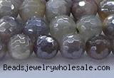 CMS1312 15.5 inches 8mm faceted round AB-color grey moonstone beads