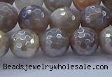 CMS1313 15.5 inches 10mm faceted round AB-color grey moonstone beads