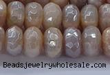 CMS1323 15.5 inches 6*10mm faceted rondelle AB-color moonstone beads