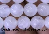 CMS1402 15.5 inches 8mm round white moonstone beads wholesale