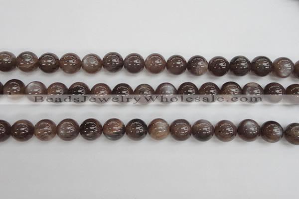 CMS143 15.5 inches 10mm round natural grey moonstone beads