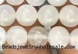 CMS1462 15.5 inches 8mm round white moonstone beads wholesale