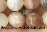 CMS1472 15.5 inches 10mm faceted round moonstone beads wholesale