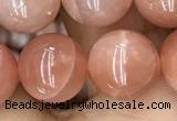 CMS1478 15.5 inches 12mm round moonstone beads wholesale