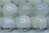 CMS1492 15.5 inches 10mm round white moonstone beads wholesale