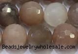 CMS1498 15.5 inches 10mmm faceted round rainbow moonstone beads