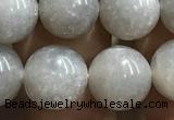 CMS1653 15.5 inches 10mm round grey moonstone beads wholesale