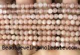 CMS1670 15.5 inches 4mm round moonstone beads wholesale