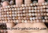 CMS1677 15.5 inches 4mm faceted round moonstone beads wholesale